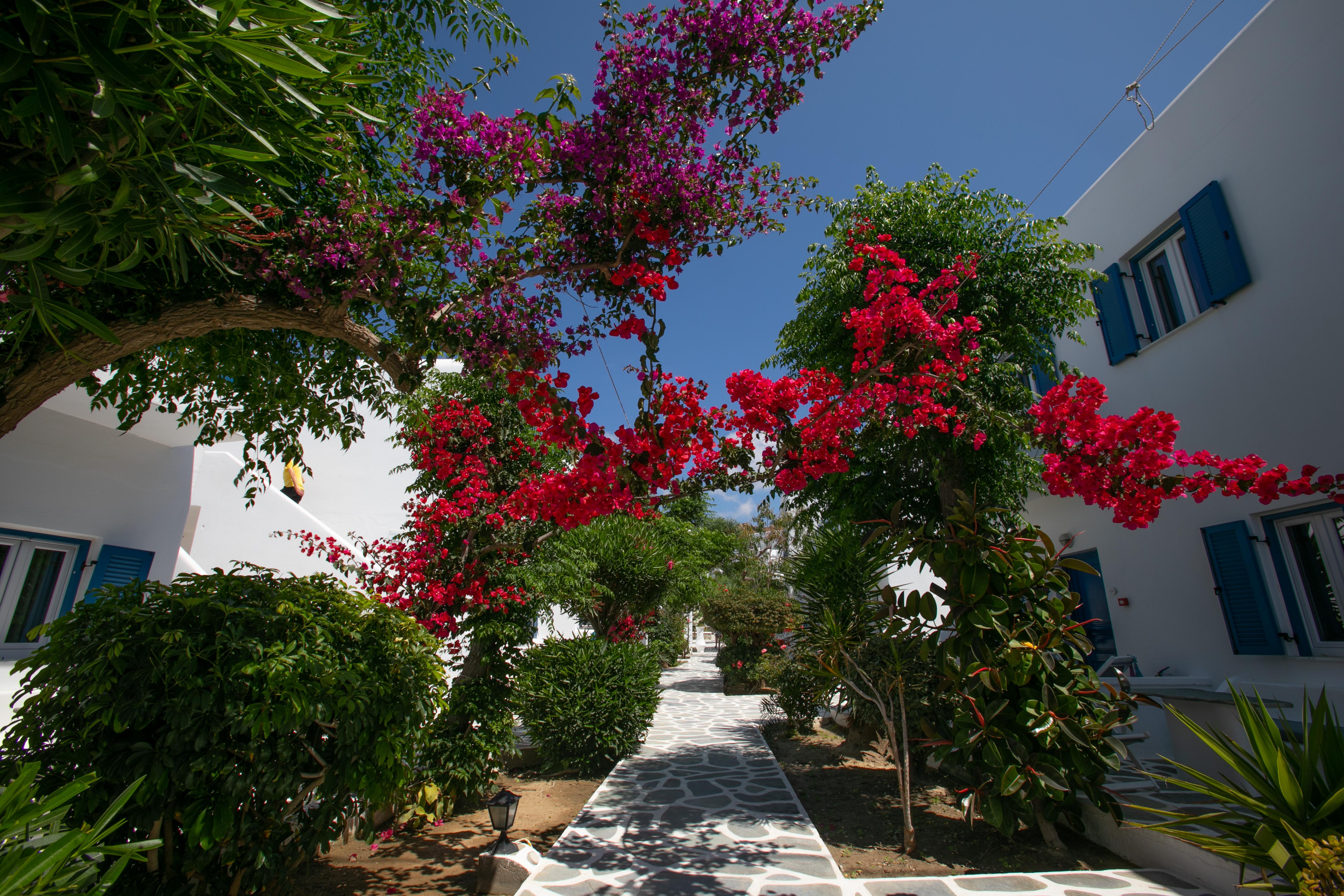 Acrogiali Beachfront Hotel Mykonos Платис Ялос Экстерьер фото