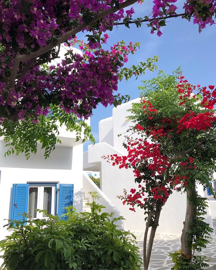 Acrogiali Beachfront Hotel Mykonos Платис Ялос Экстерьер фото