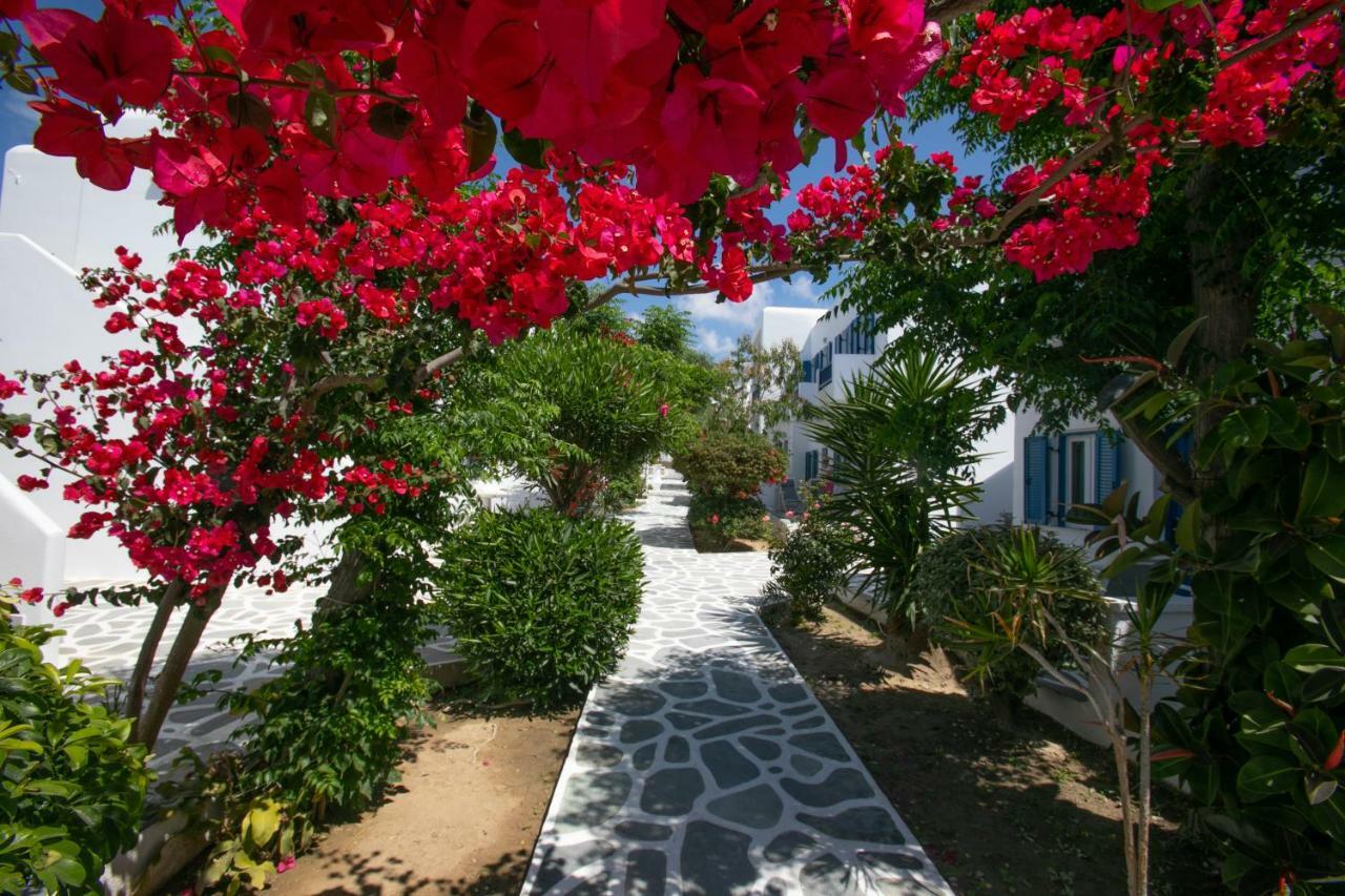 Acrogiali Beachfront Hotel Mykonos Платис Ялос Экстерьер фото